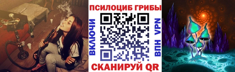 omg   где купить   Кодинск  Галлюциногенные грибы Cubensis 